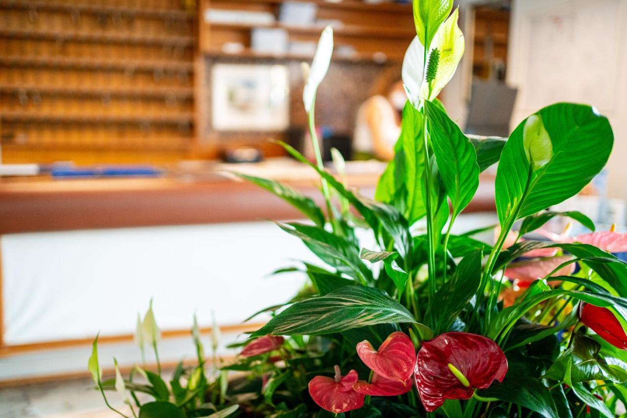 Hotel Stacchini Чезенатико Экстерьер фото